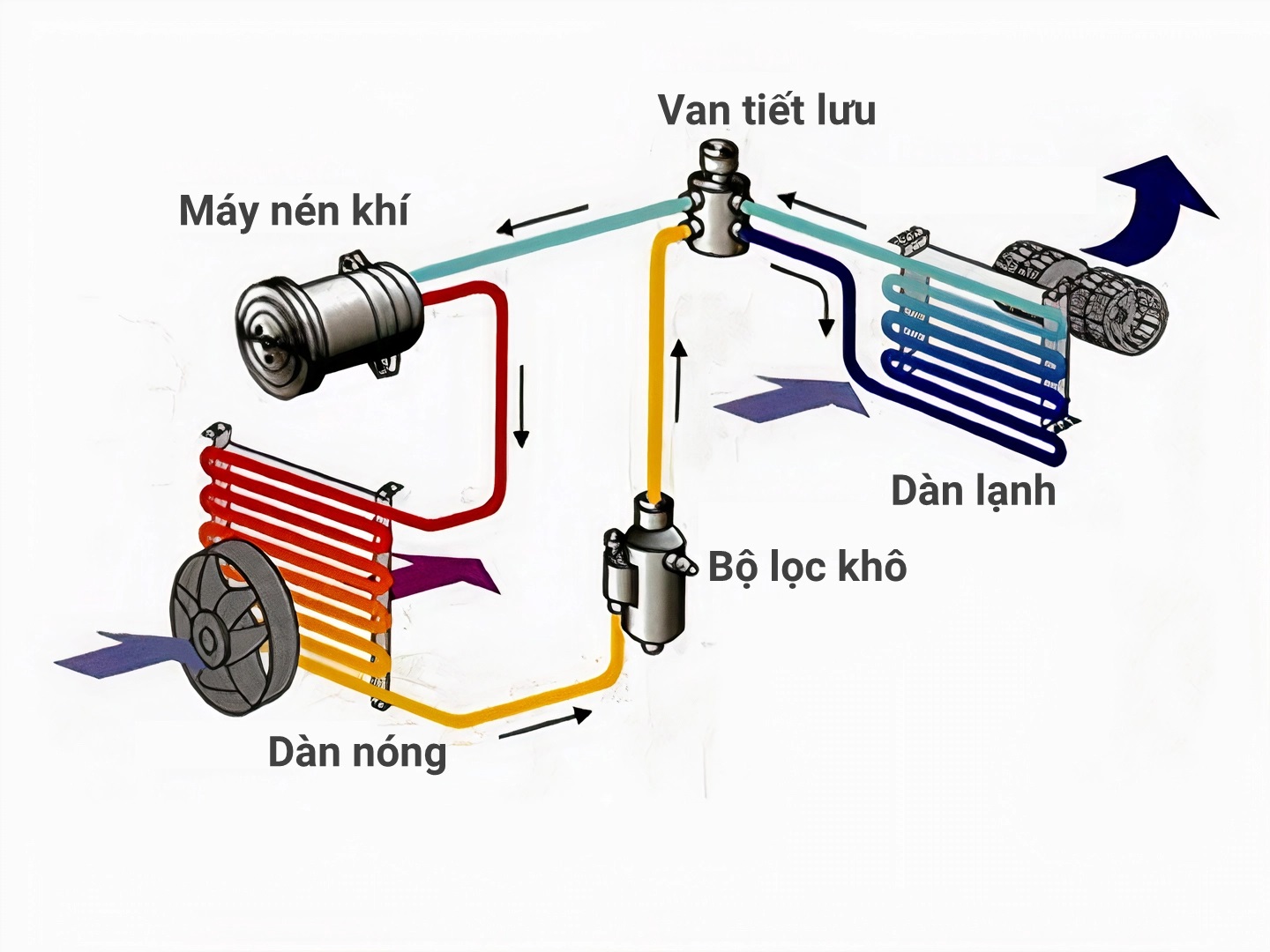 Nguyên lý hoạt động của máy lạnh tủ đứng BMT