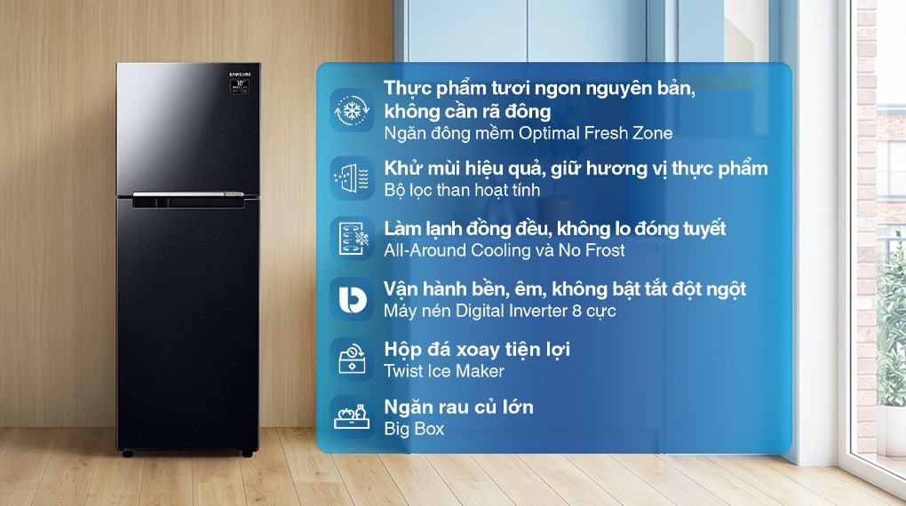 Tủ lạnh Samsung Inverter 236 lít RT22M4032BY
