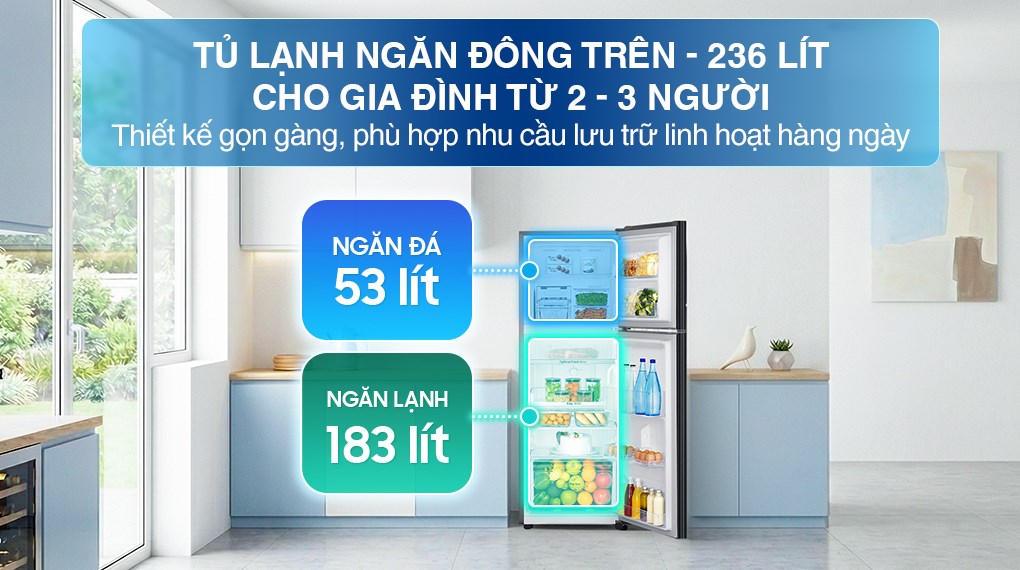 Tủ lạnh Samsung Inverter 236 lít RT22M4032BY