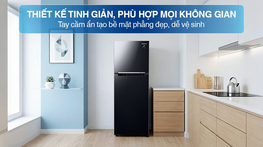 Tủ lạnh Samsung Inverter 236 lít RT22M4032BY
