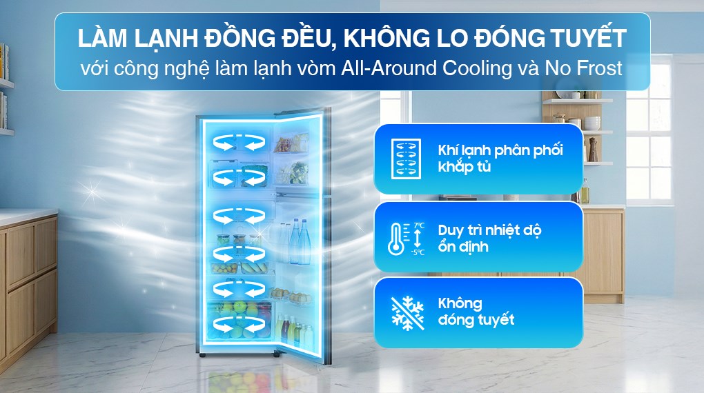 Tủ lạnh Samsung Inverter 236 lít RT22M4032BY
